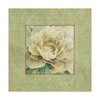 Trademark Fine Art Lisa Audit 'Quiet Petals I' Canvas Art, 14x14 ALI31514-C1414GG